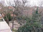 Vista giardino Guggenheim