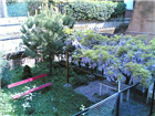 vista giardino
