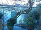 Giardino dell'immobile